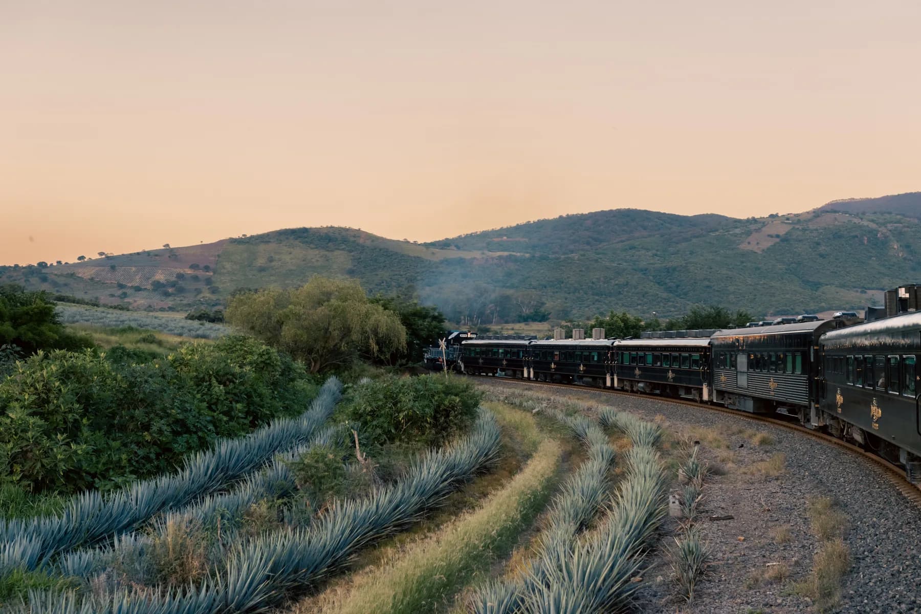 Tren turístico atravesando los campos de agave de Jalisco al atardecer